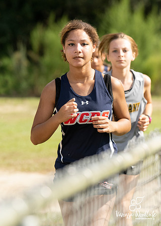 WCDSXC0328