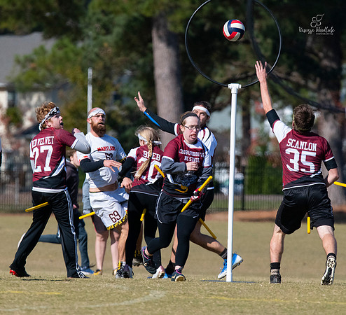 quidditch0624