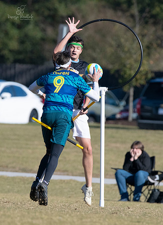 Quidditch0878