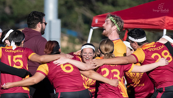 Quidditch1071