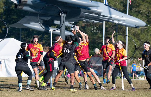 Quidditch1295