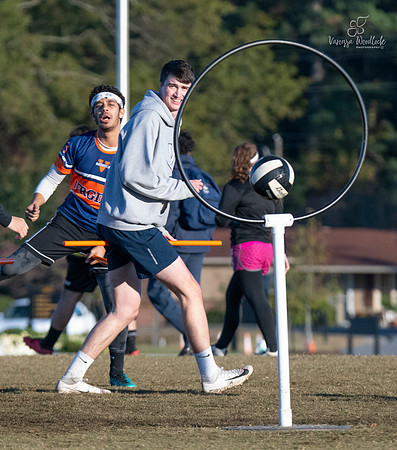 quidditch358