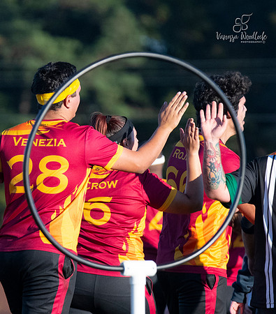 Quidditch1328