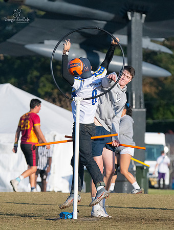 quidditch1352