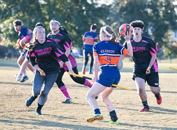 quidditch1428
