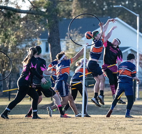 Quidditch1500