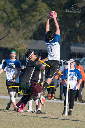 Quidditch1537