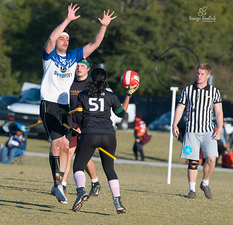 Quidditch1508