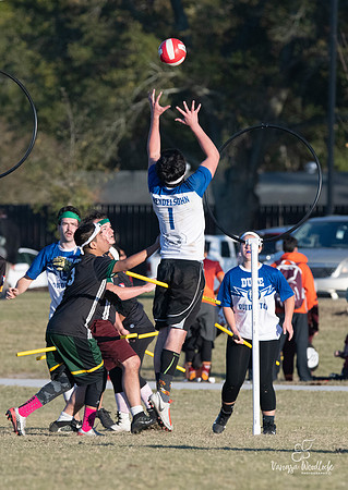 quidditch1536