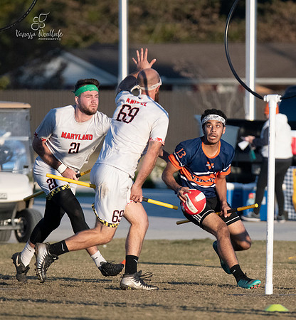 quidditch1599