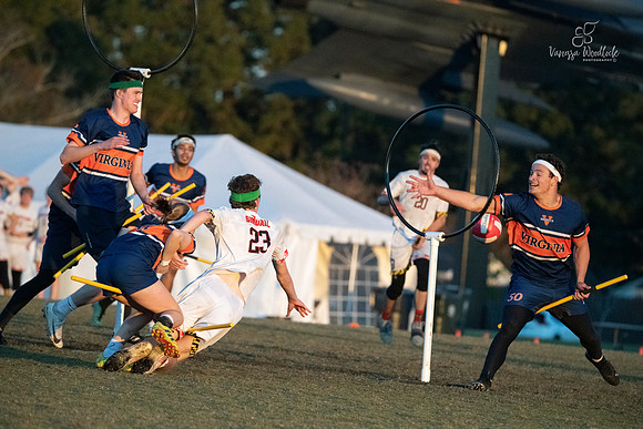 Quidditch1694