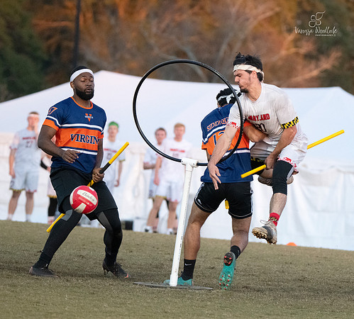 quidditchwinner1709