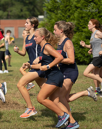 WCDSXC0253